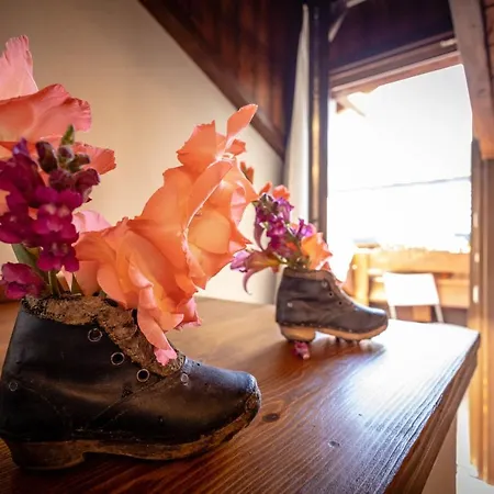 Eco Dimora Baltea - Al Villaggio Di Rumiod